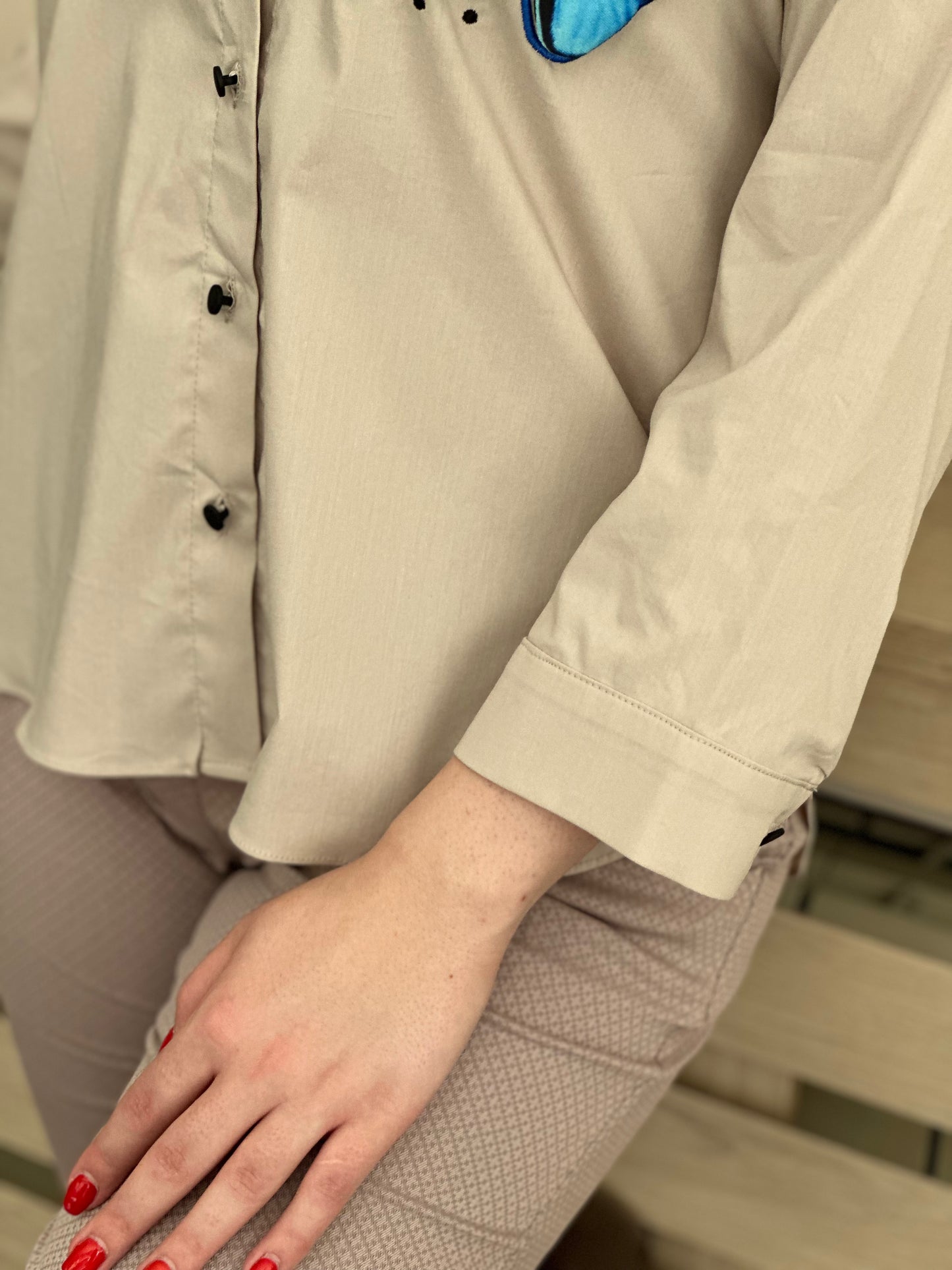 Дамска ефирна риза в бежов цвят, дълъг ръкав, с акцент пеперуди и класическа яка, модел Elicia